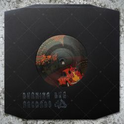 Indra MC - Warning / Earl Sixteen - What You Won't Do For Love