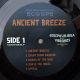 Joseph Lalibela meets Vibronics and Mafia & Fluxy - Ancient Breeze
