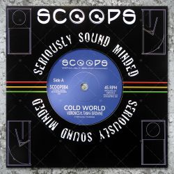 Vibronics feat. Tann-I Browne - Cold World