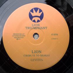 Levites - Lion (Tribute To Shaka)