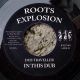 Dub Traveller - In This Dub
