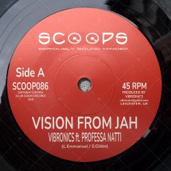 Vibronics feat. Professa Natti - Vision From Jah