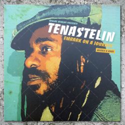 Tena Stelin - Embark On A Journey