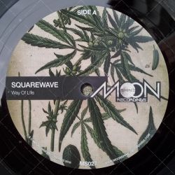 Squarewave - Way Of Life