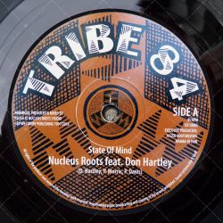 Nucleus Roots feat. Don Hartley - Sate Of Mind
