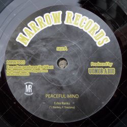 Echo Ranks - Peaceful Mind