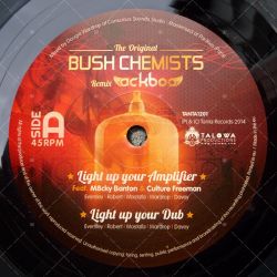Light Up Your Amplifier (Bush Chemists RMX)