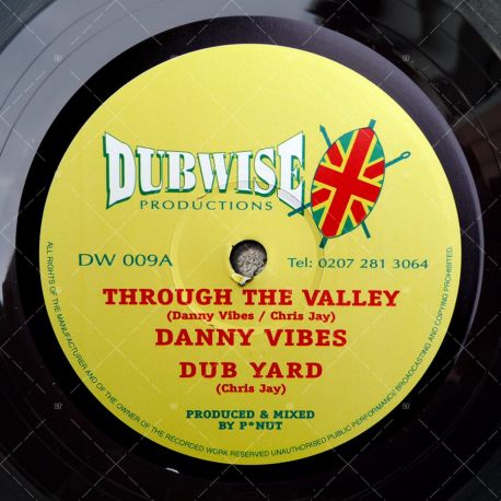Danny Vibes - Through The Valley