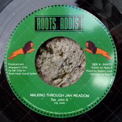Ras John B - Walking Through Jah Meadow