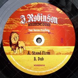 J. Robinson feat. Darien Prophecy - Stand Firm