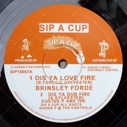 Brinsley Ford - Dis Ya Love Fire