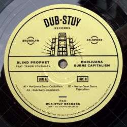 Blind Prophet feat. Tenor Youthman - Marijuana Burns Capitalism