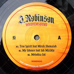 J. Robinson feat. Micah Shemaiah - True Spirit