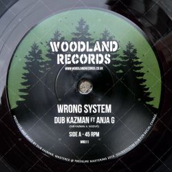 Dub Kazman feat. Anja G - Wrong System