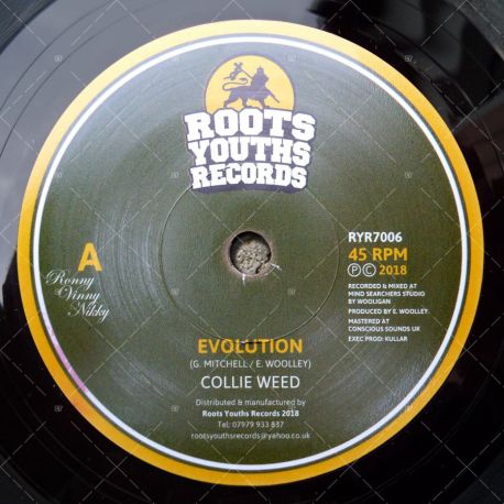 Collie Weed - Evolution