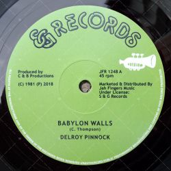 Delroy Pinnock - Babylon Walls