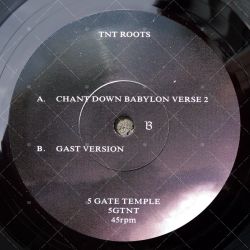 TNT Roots - Chant Down Babylon Verse 2