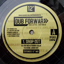 Kai Dub meets Ashanti Selah feat. Junior Roy - Drop Out