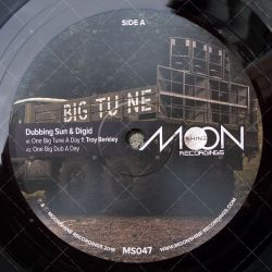 Dubbing Sun & Digid - One Big Tune A Day feat. Troy Berkley