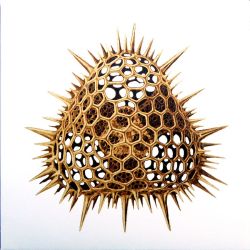 Zion Train feat. Brother Culture - Sound System