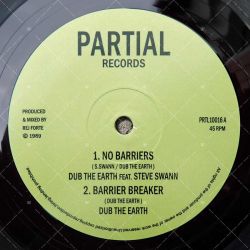 Dub The Earth feat. Steve Swann - No Barriers