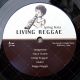 Spring Wata & The Rockers Disciples - Living Reggae