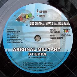 Aba Ariginal meets Mali Blakamix - Ariginal Militant Steppa