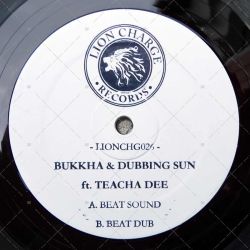 Bukkha & Dubbing Sun feat. Teacha Dee - Beat Sound