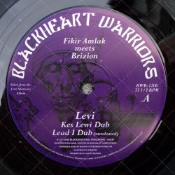 Fikir Amlak meets Brizion - Levi