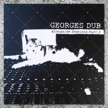 Georges Dub - Alongside Sessions Part 2