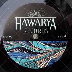 Zongo Sound feat. Zion Irie - The Wicked