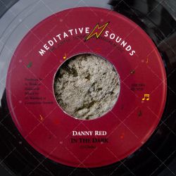 Danny Red - In The Dark