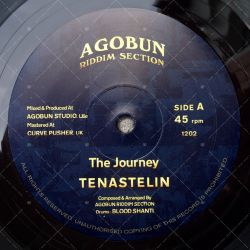 Tena Stelin - The Journey
