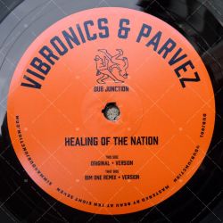 Vibronics & Parvez - Healing Of The Nation