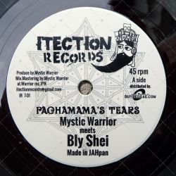 Mystic Warrior meets Bly Shei - Pachamama's Tears