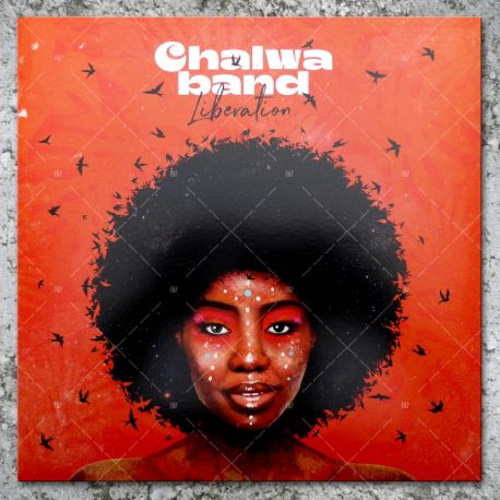 Chalwa Band - Liberation