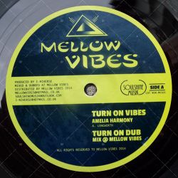 Amelia Harmony - Turn On Vibes