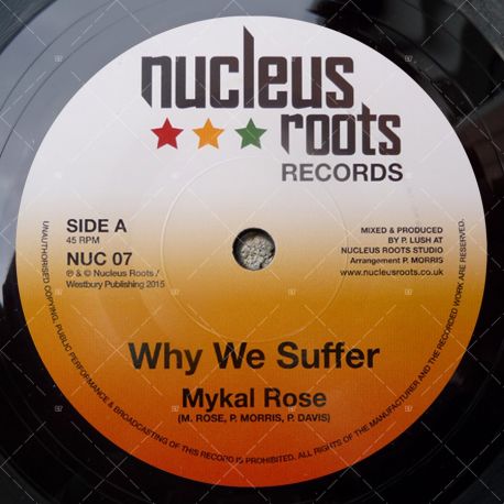 Mykal Roze - Why We Suffer