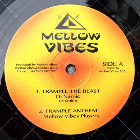 Di Namic - Trample The Beast