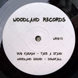 Dub Kazman - Take A Stand / Woodland Sound - Downfall