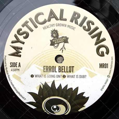 Errol Bellot - What Is Going On?