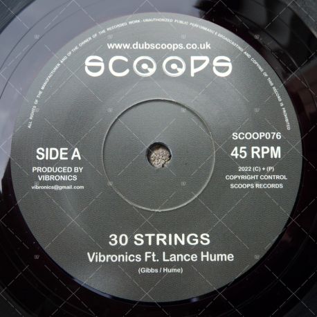 Vibronics feat. Lance Hume - 30 Strings