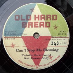  Twinkle Rootz Sound feat. Horace Andy - Cant Stop My Blessing