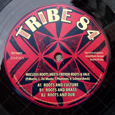 Nucleus Roots meets Trevor Roots & Vale - Roots And Culture