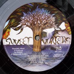 Bunnington Judah - Born To Take The Pain