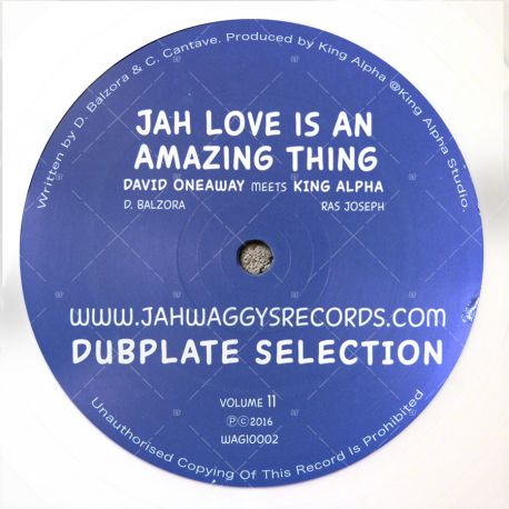 David Oneaway meets King Alpha - Jah Love Is An Amazing Thing