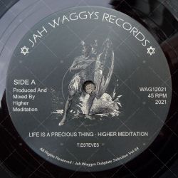 Higher Meditation - Life Is A Precious Thing