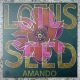 Amando - Lotus Seed feat. PiyaZawa